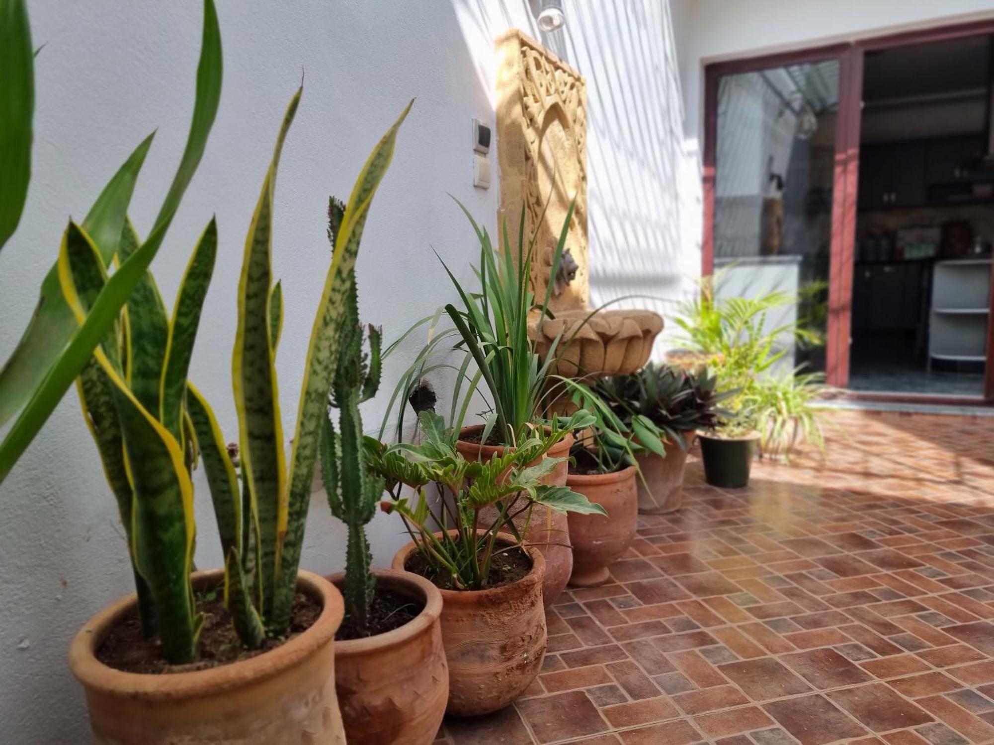 Riad Searenity Tamraght Exterior photo